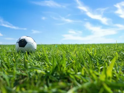 Android 版二维码